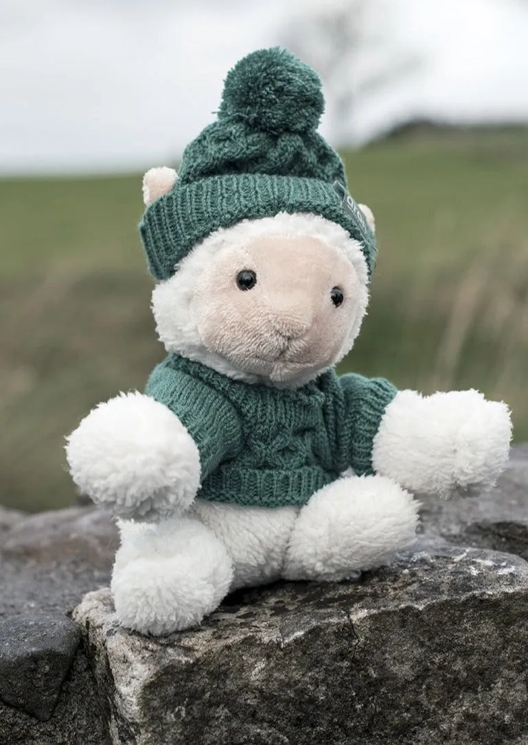 Aran Sheep With Aran Jumper