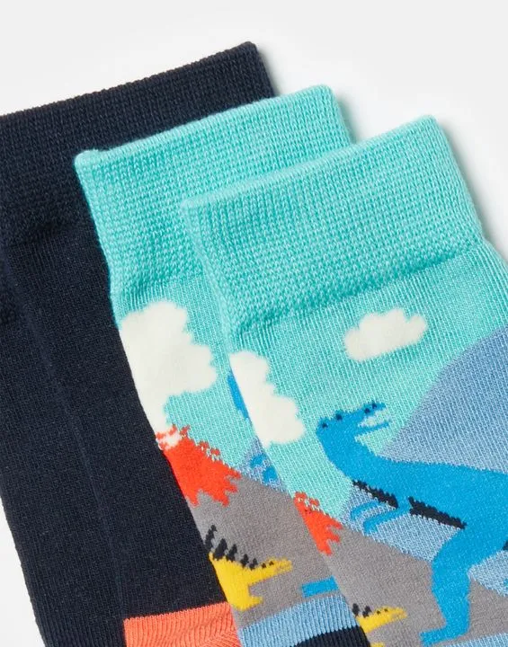 Brill Bamboo 2 Pack Socks | Joules