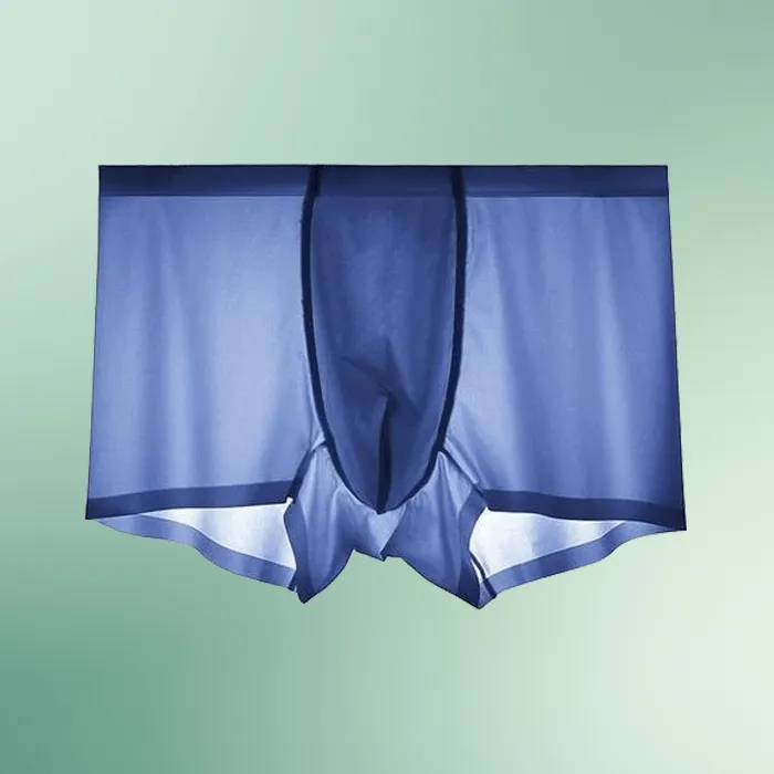 Icy Men® Men's Ice Silk Underwear